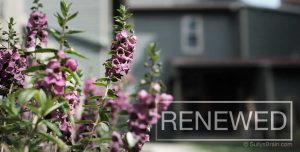 Renewed Growth with Ephesians 4