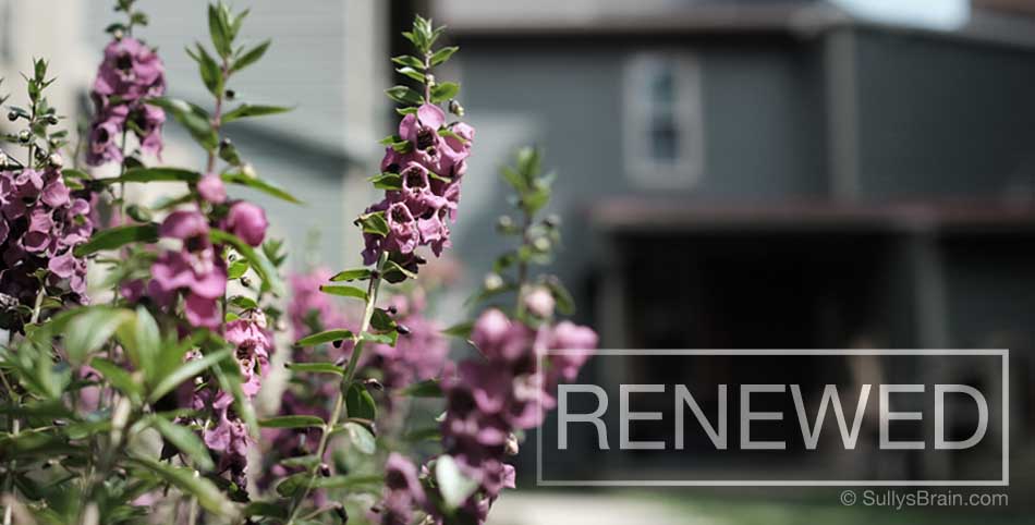 Renewed Growth with Ephesians 4